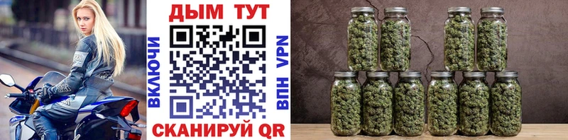Купить закладку Галлюциногенные грибы  ГЕРОИН  Гашиш  МЕФ  Канабис  СК  Тихорецк